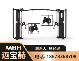 广安大飞鸟训练器