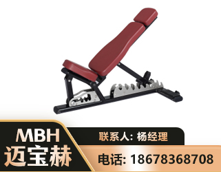 广安可调哑铃椅